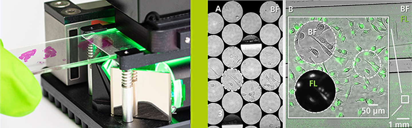 Auf diesem Bild sieht man das am Fraunhofer MEOS entwickelte miniaturisierte, digitale Fluoreszenzmikroskop, sowie ein damit erstelles Rohbild (Mitte) und das zusammengesetzte Bild (rechts) einer Probe